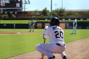 Luis Robert