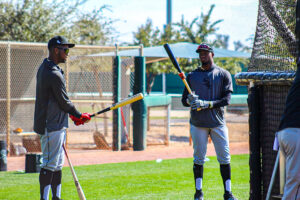 Eloy Jimenez and Luis Robert