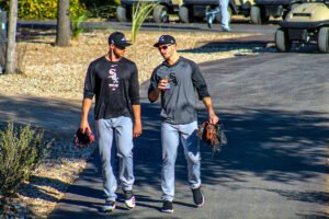 Dylan Cease White Sox